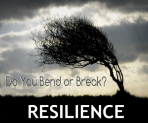 Resilience and adaptation