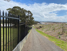 Environmental Assessment Requirements (SEARs) by Blackash
